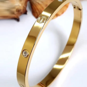 Gilded Steel Bangle
