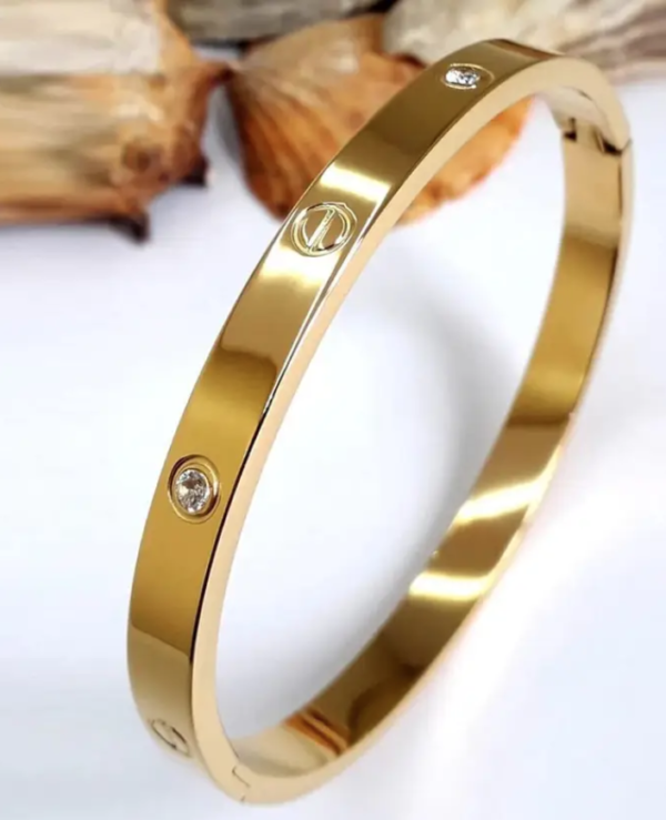 Gilded Steel Bangle - Image 2